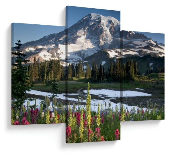 Obraz - Mount Rainier (90x60 cm)