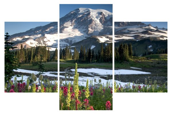 Obraz - Mount Rainier (90x60 cm)