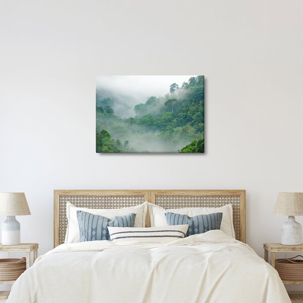 Obraz - Ranná hmla (70x50 cm)