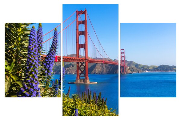 Obraz - Golden Gate Bridge, San Francisco (90x60 cm)