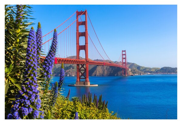 Obraz - Golden Gate Bridge, San Francisco (90x60 cm)