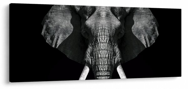 Obraz - Slon na čiernom pozadí (120x50 cm)