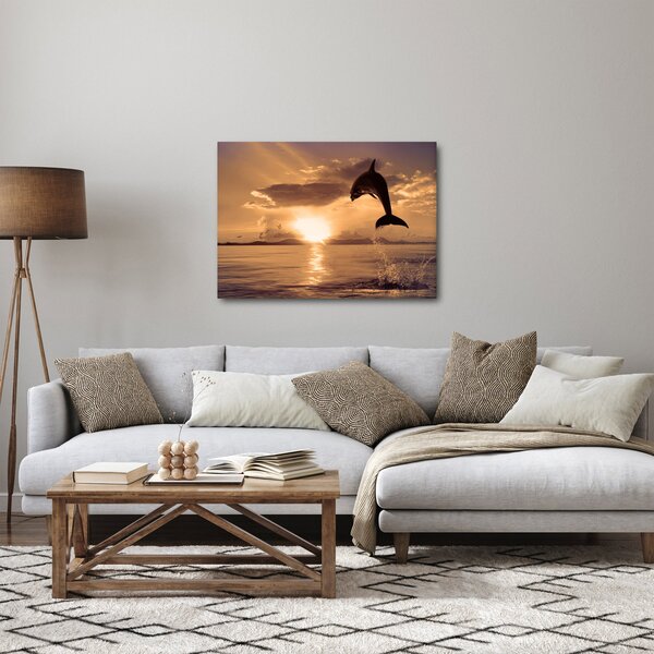 Obraz - Delfín pri západe slnka (70x50 cm)