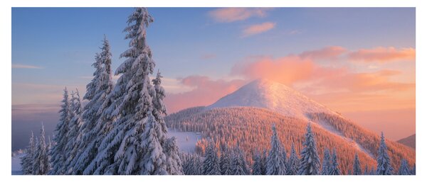 Obraz - Zimná krajina (120x50 cm)