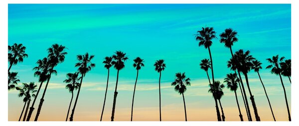 Obraz - Kalifornia (120x50 cm)