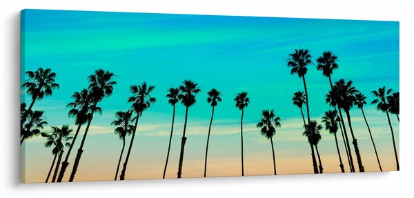 Obraz - Kalifornia (120x50 cm)