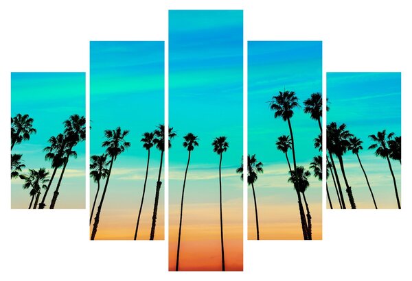 Obraz - Kalifornia (150x105 cm)