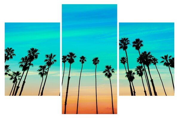 Obraz - Kalifornia (90x60 cm)
