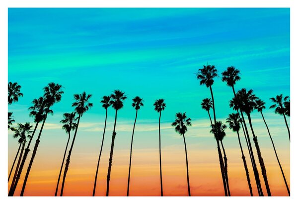 Obraz - Kalifornia (90x60 cm)
