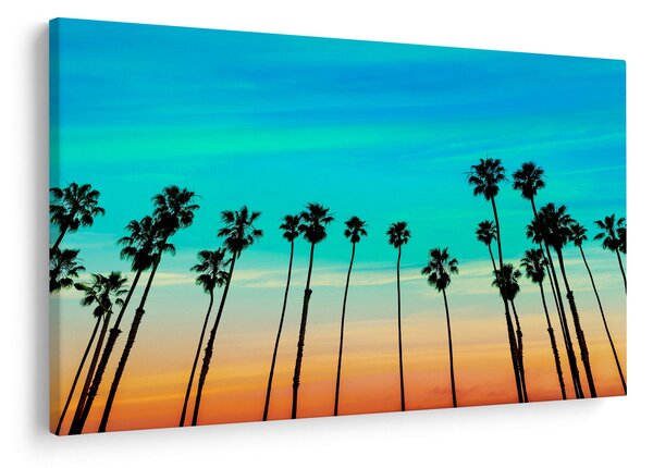 Obraz - Kalifornia (90x60 cm)