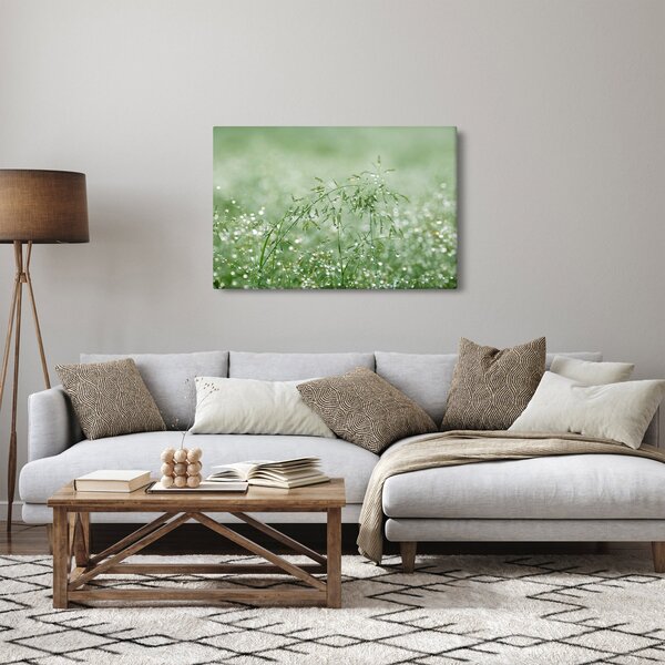 Obraz - Ranná rosa na steblach trávy (90x60 cm)