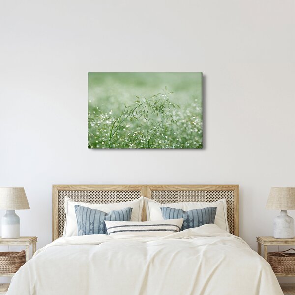 Obraz - Ranná rosa na steblach trávy (90x60 cm)