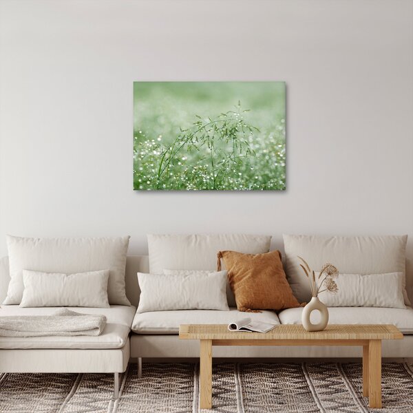 Obraz - Ranná rosa na steblach trávy (70x50 cm)