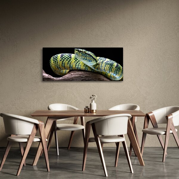 Obraz - Štrkáč Waglerov (120x50 cm)