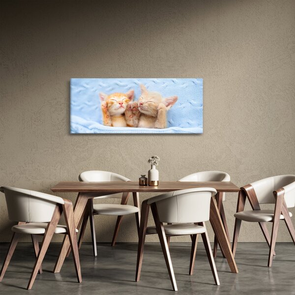 Obraz - Spiace mačiatka (120x50 cm)