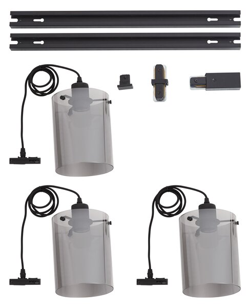 Modern 1-Phase Track System Black with 3 Smoke Glass Pendant Lamps - Iconic Dome