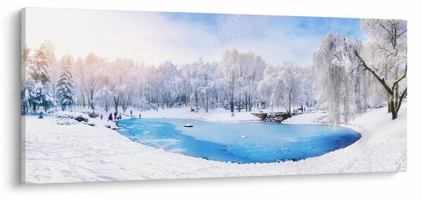 Obraz - Ľadové jazero (120x50 cm)