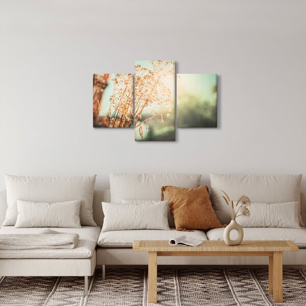 Obraz - Rastliny po daždi (90x60 cm)
