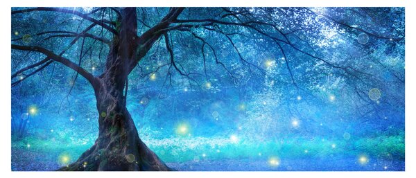 Obraz - Mystický les (120x50 cm)