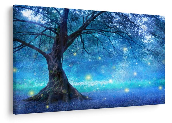 Obraz - Mystický les (90x60 cm)