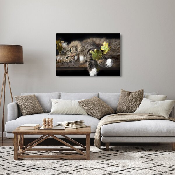 Obraz - Ležiaca mačka (90x60 cm)