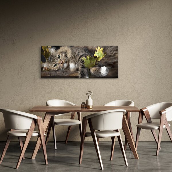 Obraz - Ležiaca mačka (120x50 cm)