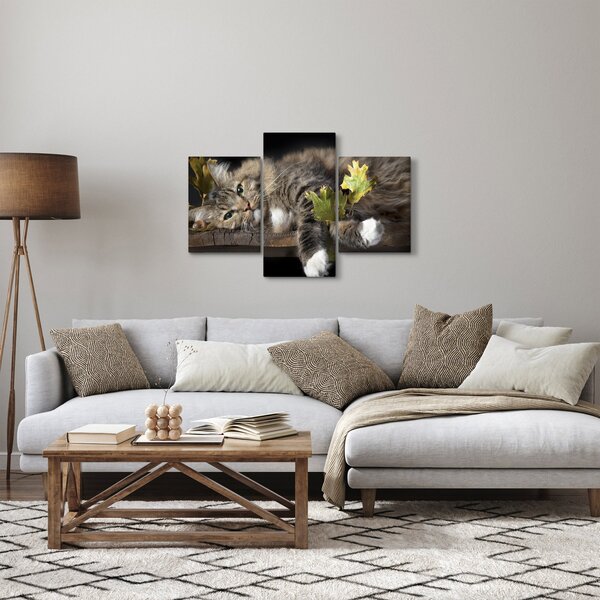 Obraz - Ležiaca mačka (90x60 cm)