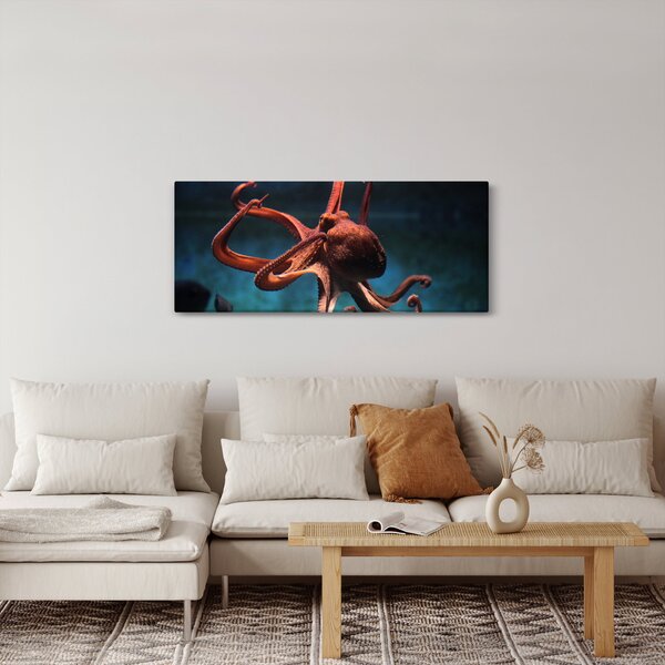 Obraz - Chobotnica (120x50 cm)