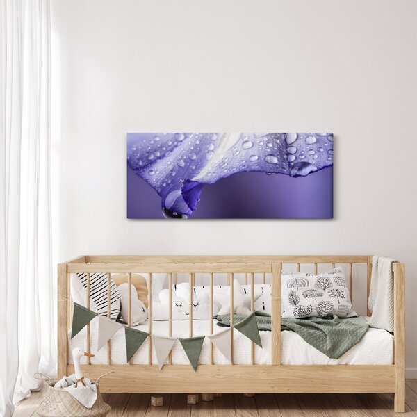 Obraz - Okvetný lístok s kvapkami (120x50 cm)