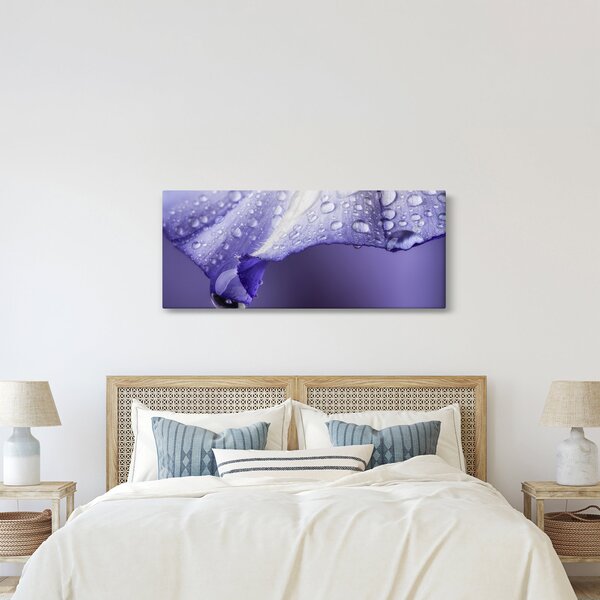 Obraz - Okvetný lístok s kvapkami (120x50 cm)