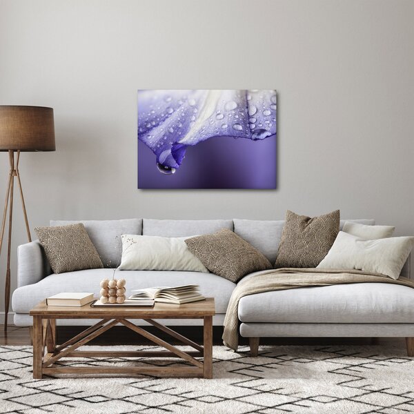 Obraz - Okvetný lístok s kvapkami (70x50 cm)