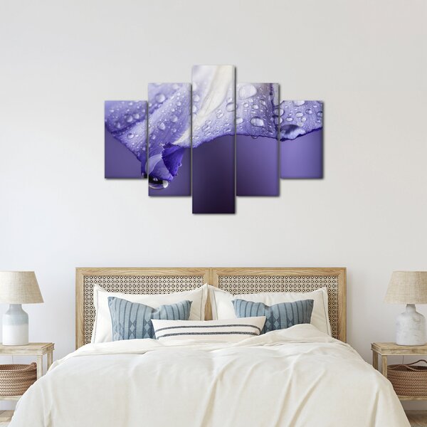 Obraz - Okvetný lístok s kvapkami (150x105 cm)