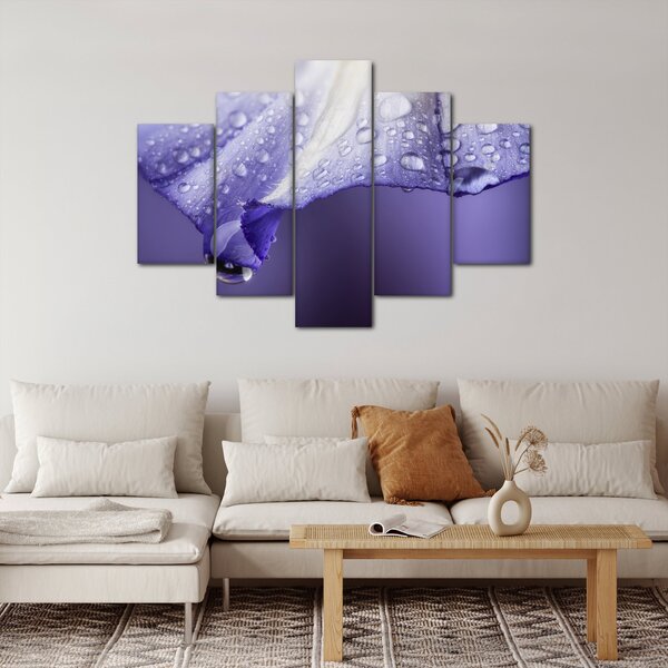 Obraz - Okvetný lístok s kvapkami (150x105 cm)