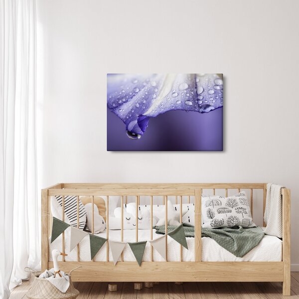 Obraz - Okvetný lístok s kvapkami (90x60 cm)