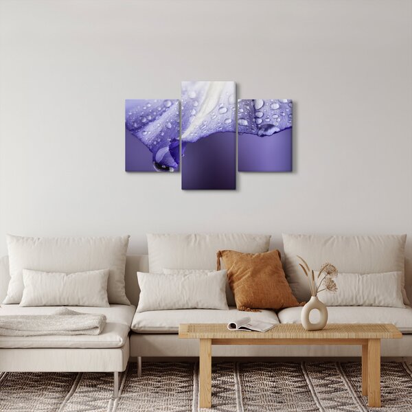 Obraz - Okvetný lístok s kvapkami (90x60 cm)
