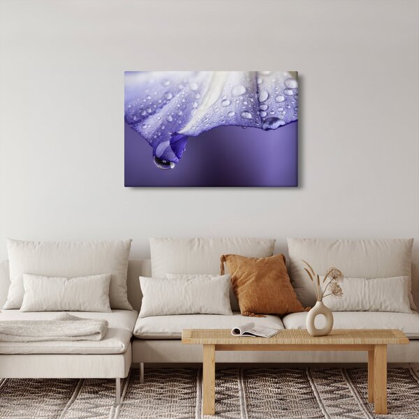Obraz - Okvetný lístok s kvapkami (90x60 cm)