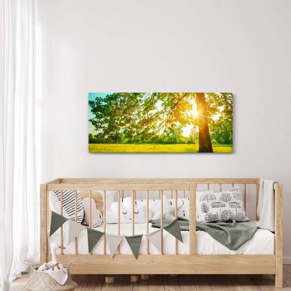Obraz - Slnečný les (120x50 cm)