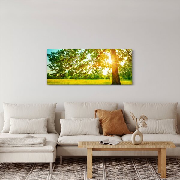 Obraz - Slnečný les (120x50 cm)