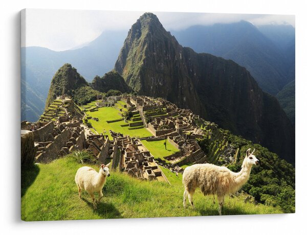Obraz - Machu Picchu (70x50 cm)