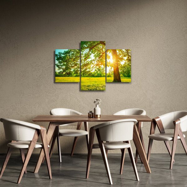 Obraz - Slnečný les (90x60 cm)