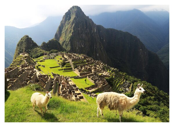 Obraz - Machu Picchu (70x50 cm)