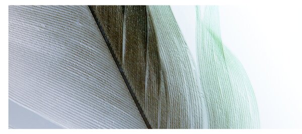 Obraz - Perie, makro (120x50 cm)