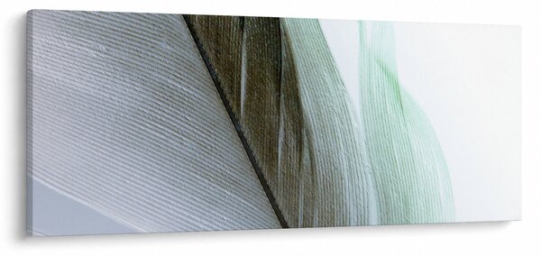 Obraz - Perie, makro (120x50 cm)
