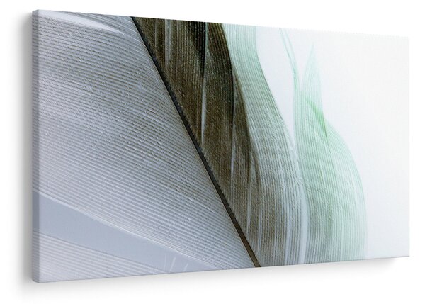 Obraz - Perie, makro (90x60 cm)
