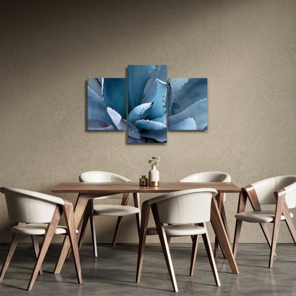 Obraz - Agáve (90x60 cm)