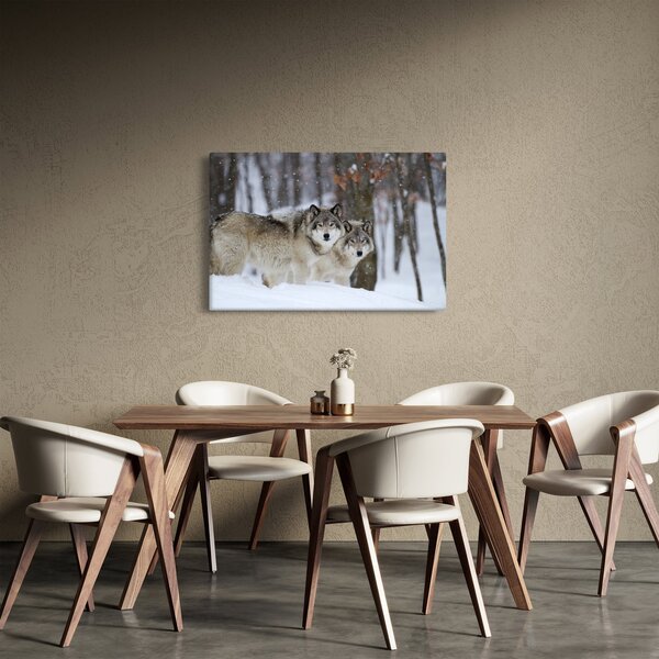 Obraz - Vlci v zime (90x60 cm)