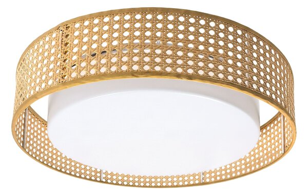 Toolight Toolight, LED stropné svietidlo plafón s ratanovým tienidlom 4000K, APP1934-C, biela-ratan, 50 cm, OSW-66090