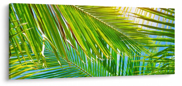 Obraz - Palmové listy (120x50 cm)