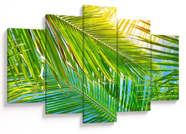 Obraz - Palmové listy (150x105 cm)