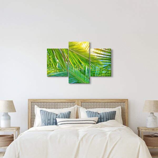 Obraz - Palmové listy (90x60 cm)